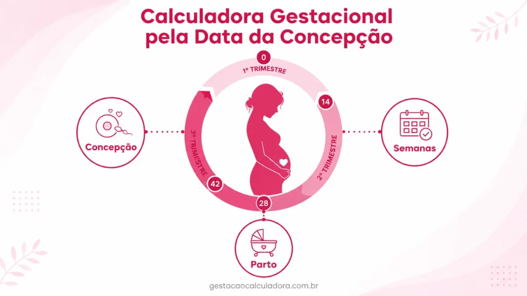 Calculadora Gestacional pela Data da Concepção: Calcule Grátis 1 calculadora gestacional pela data da concepcao como calcular idade gestacional